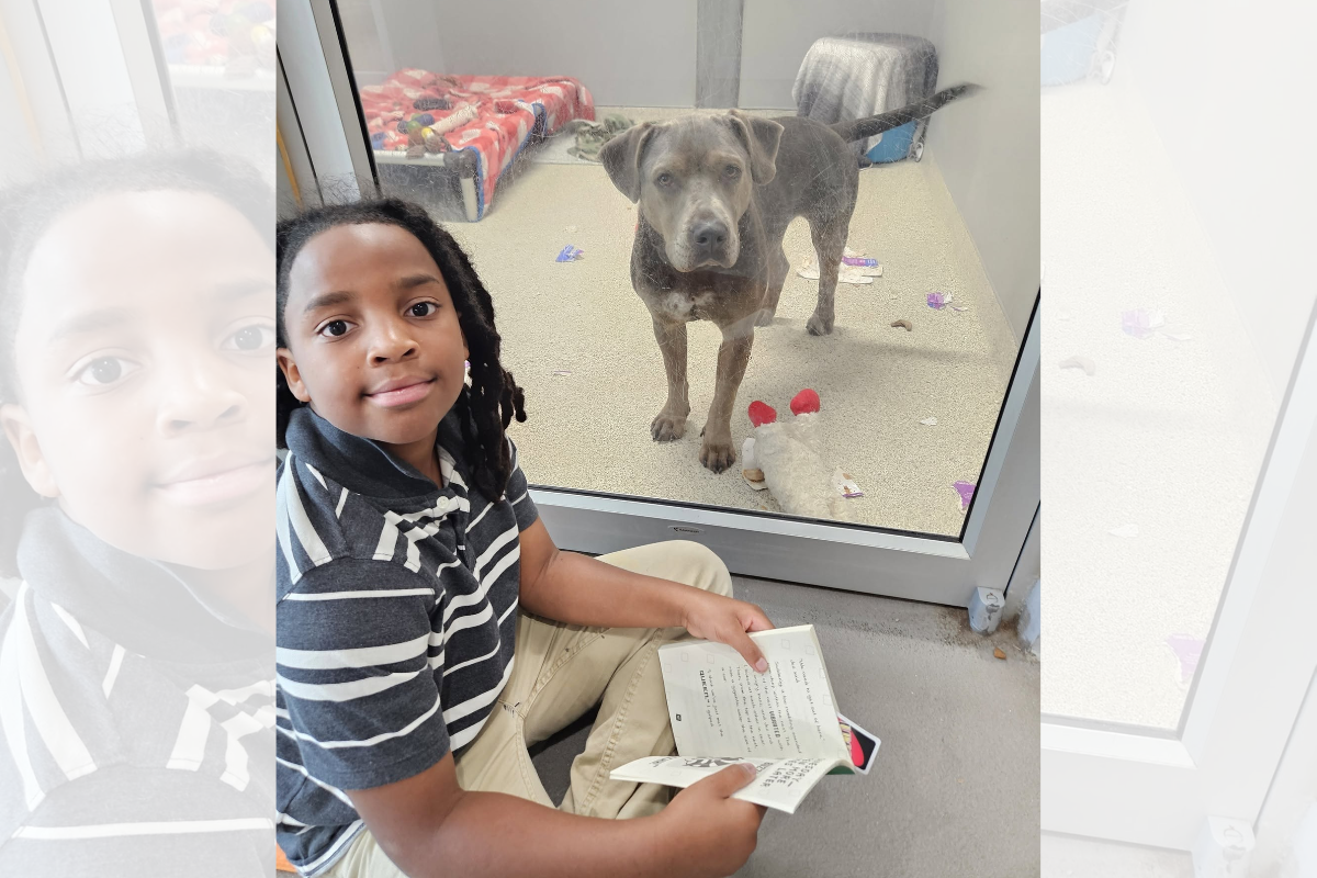 Menino de 11 anos é homenageado por dedicar 100h de leitura a animais
