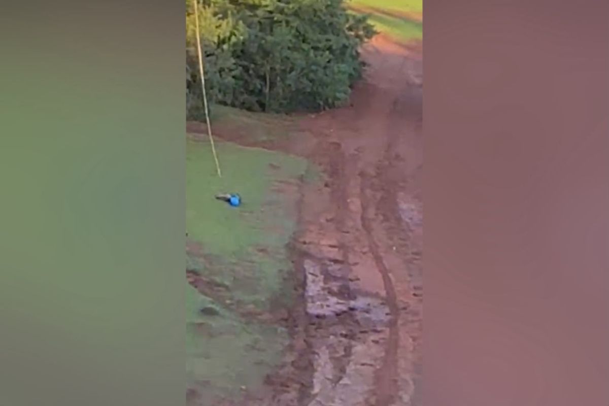 Vídeo mostra criança ferida em acidente de rope jump antes de tragédia