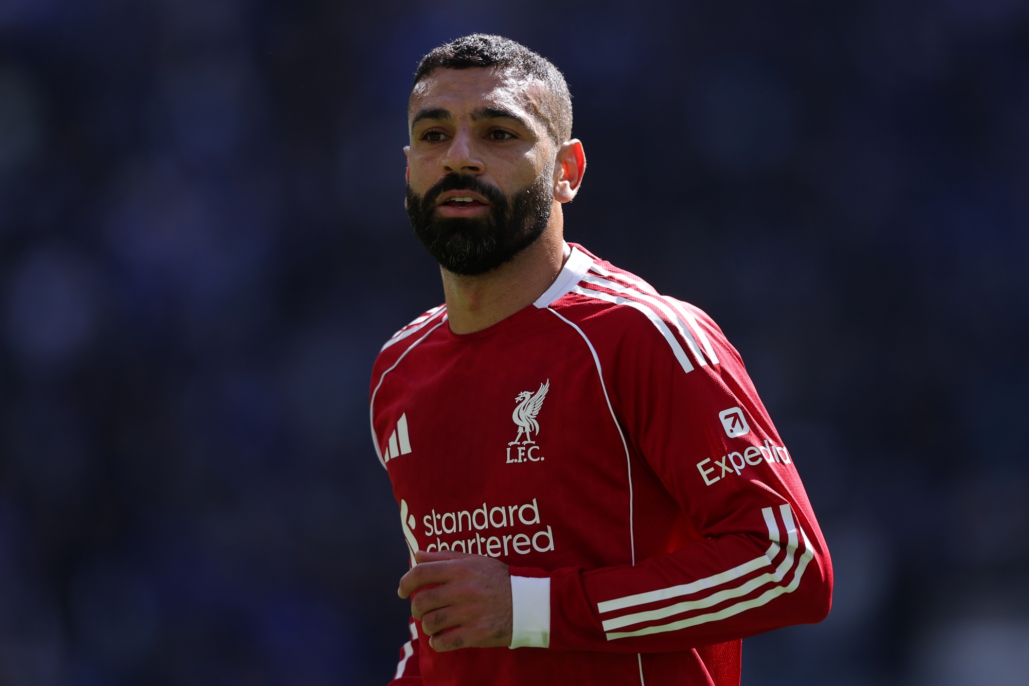 Com Salah, confira os principais jogadores que estão livres no mercado - QTU Questões do Universo