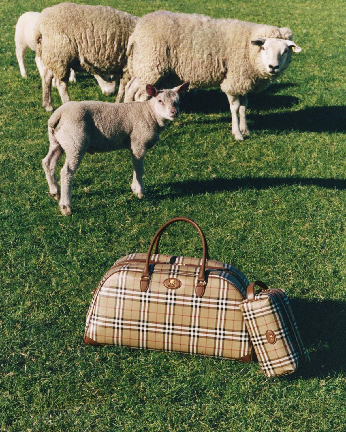 foto com cor. moses martin estrela campanha da burberry - metrópoles