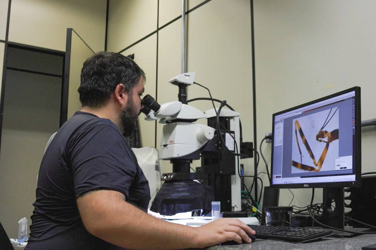 Pesquisador da Unesp desvenda mistério de inseto barbeiro na Europa