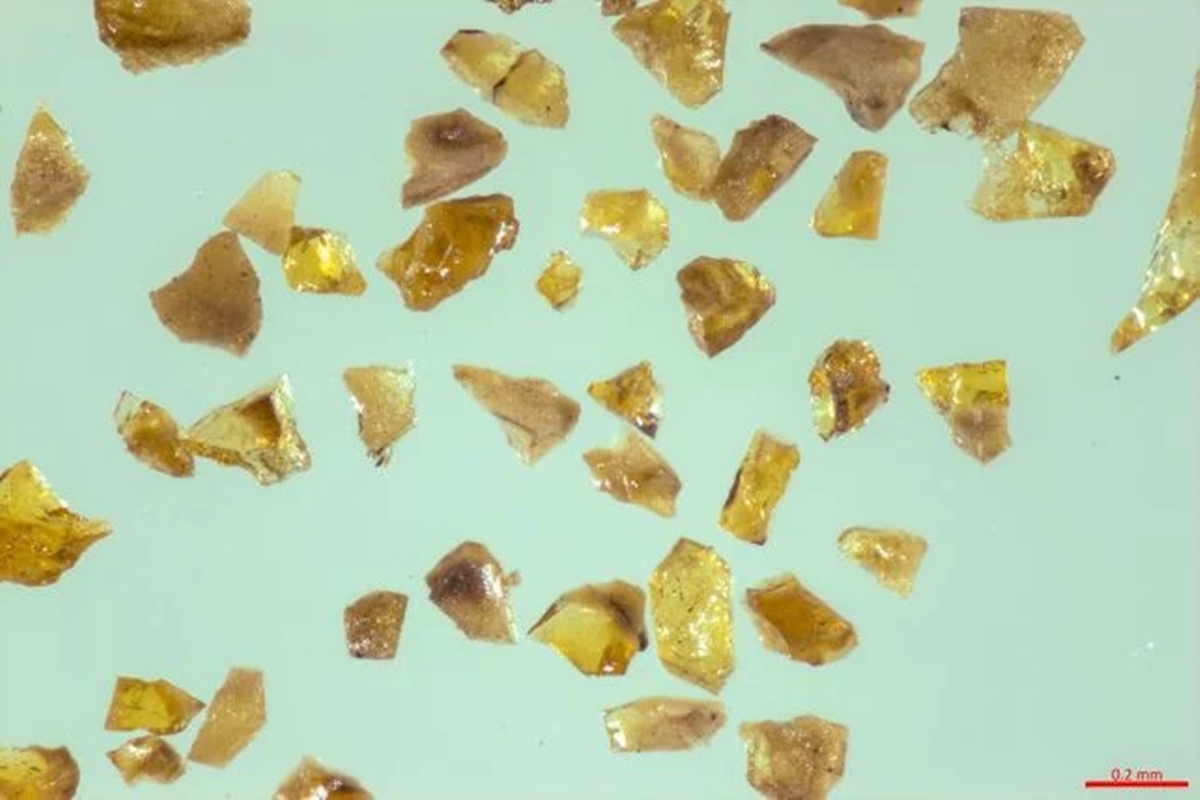 Antes dos dinossauros: âmbar mais antigo do mundo é achado na China