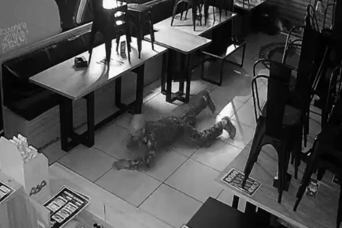 Ladrão no DF rasteja para escapar de câmera, mas falha miseravelmente