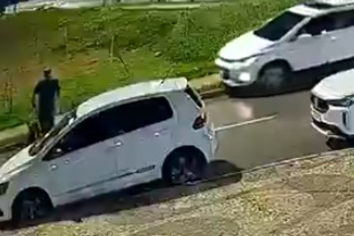 Motorista atropela cego e cão-guia e foge no DF