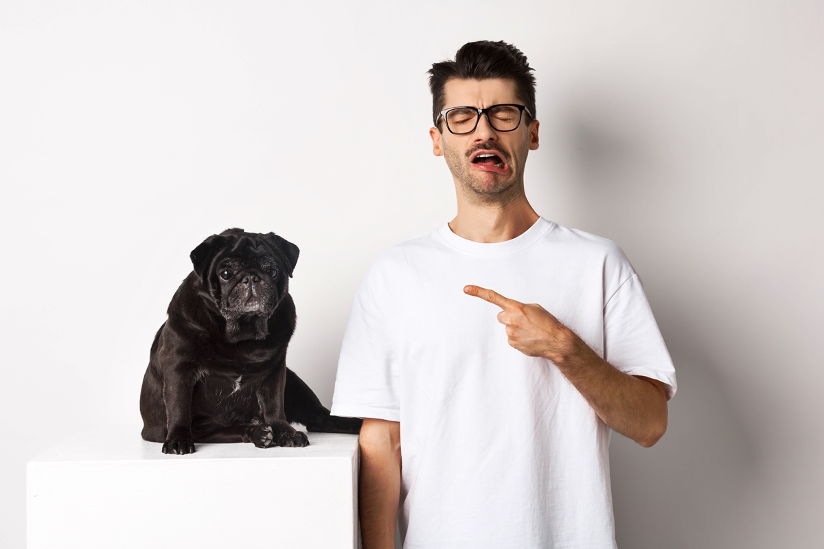 Foto colorida de tutor apontando para cachorro