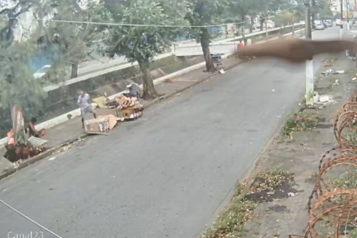 Veja momento em que árvore cai e mata homem em SP - QTU Questões do Universo