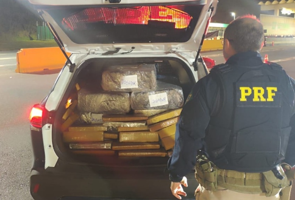 PRF apreende 239 kg de maconha escondidos em mudança na BR-381