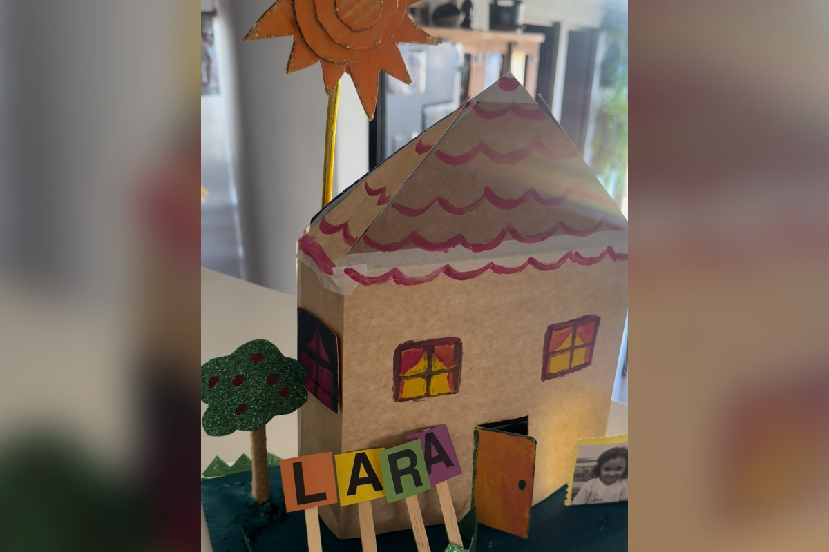 Casinha da Lara trabalho de escola BH