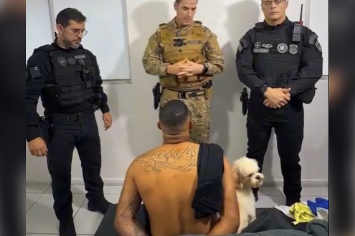 Fiel até o fim: cão acompanha tutor preso por ligação ao PCC - QTU Questões do Universo