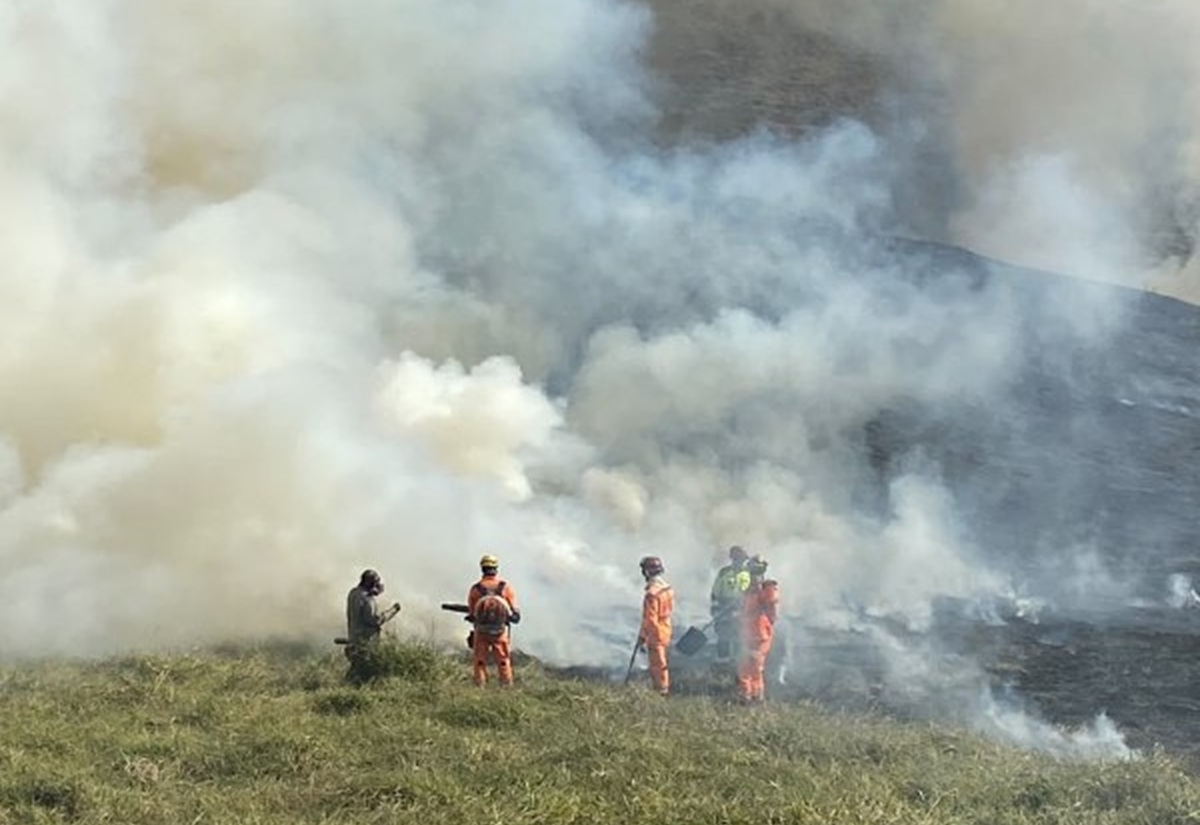 MG: incêndio queima 35 hectares próximo ao Parque Estadual do Krambeck - QTU Questões do Universo