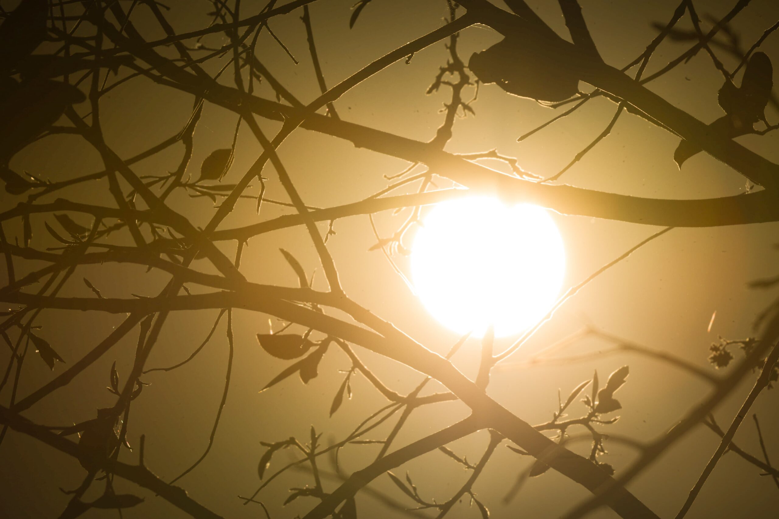 Minas terá fim de semana de até 39°C antes da volta da chuva
