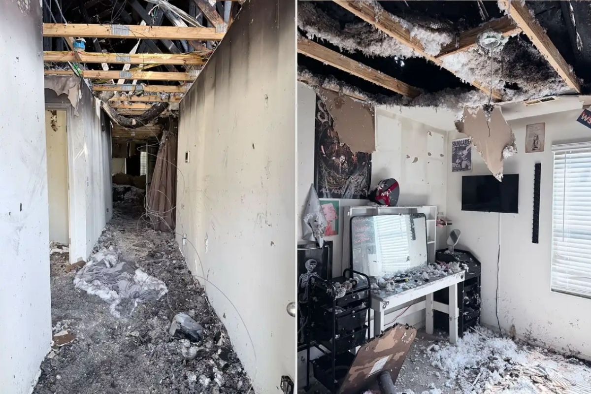 Cadela que salvou seus donos de incêndio