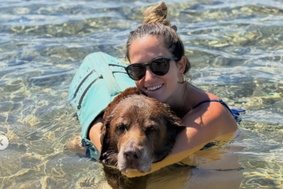 Conheça Bono, cão surfista de 16 anos que acumula 7 títulos mundiais