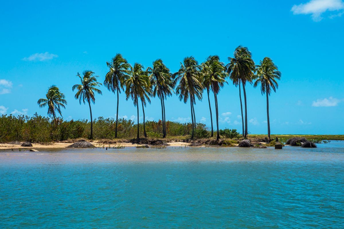 Costa dos Corais, Alagoas, Nordeste - Metrópoles