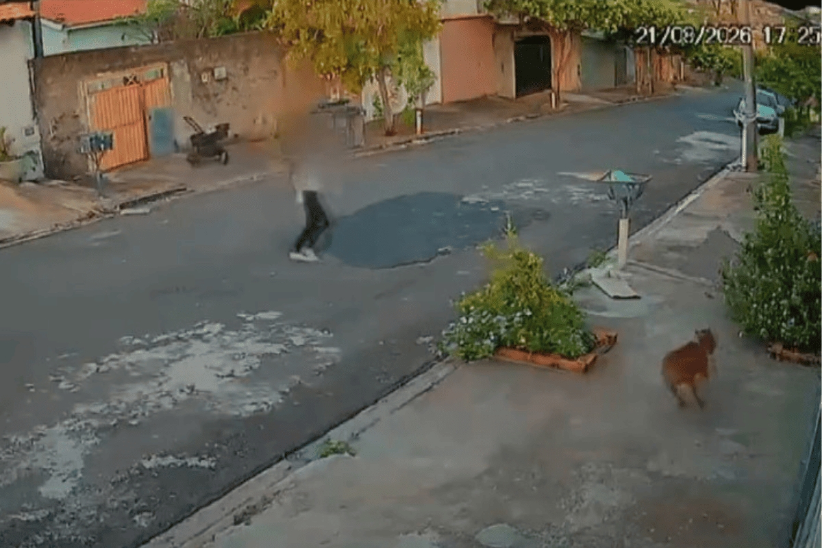 Carrinho de bebê desce rua sozinho após mãe correr atrás de pit bull