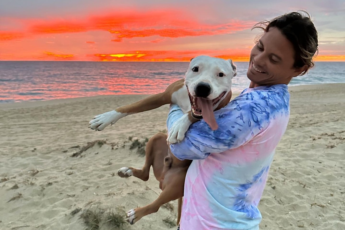 Surfista viraliza ao jogar corpo de cachorro no mar e divide opiniões - QTU Questões do Universo