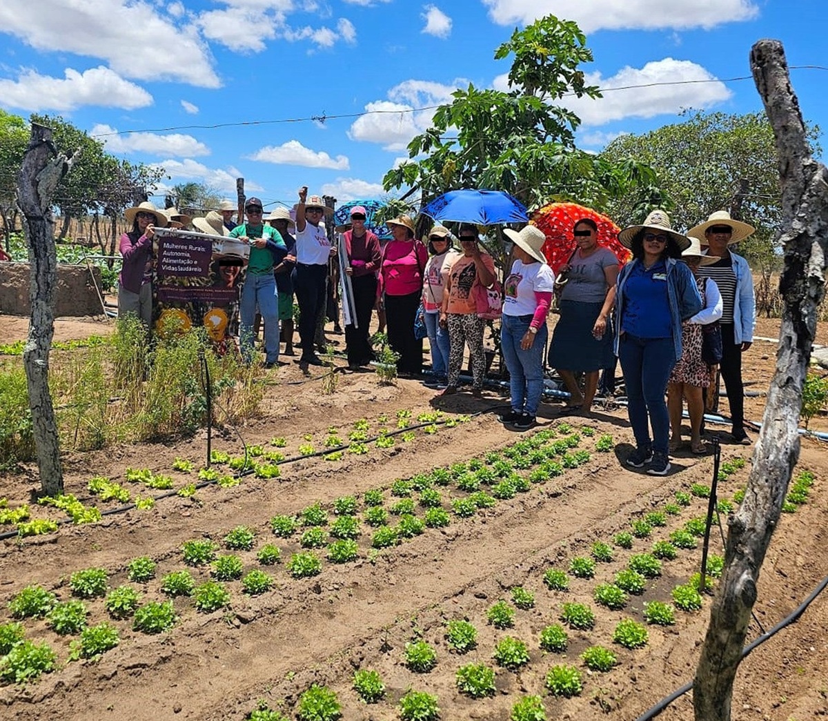 Ação Judicial Exige Transparência de Agência de Assistência Técnica Rural