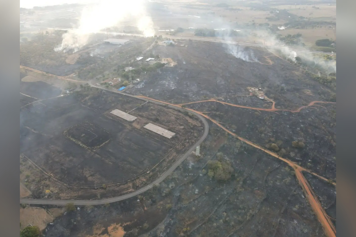 Imagem colorida, incêndio florestal - Metrópoles