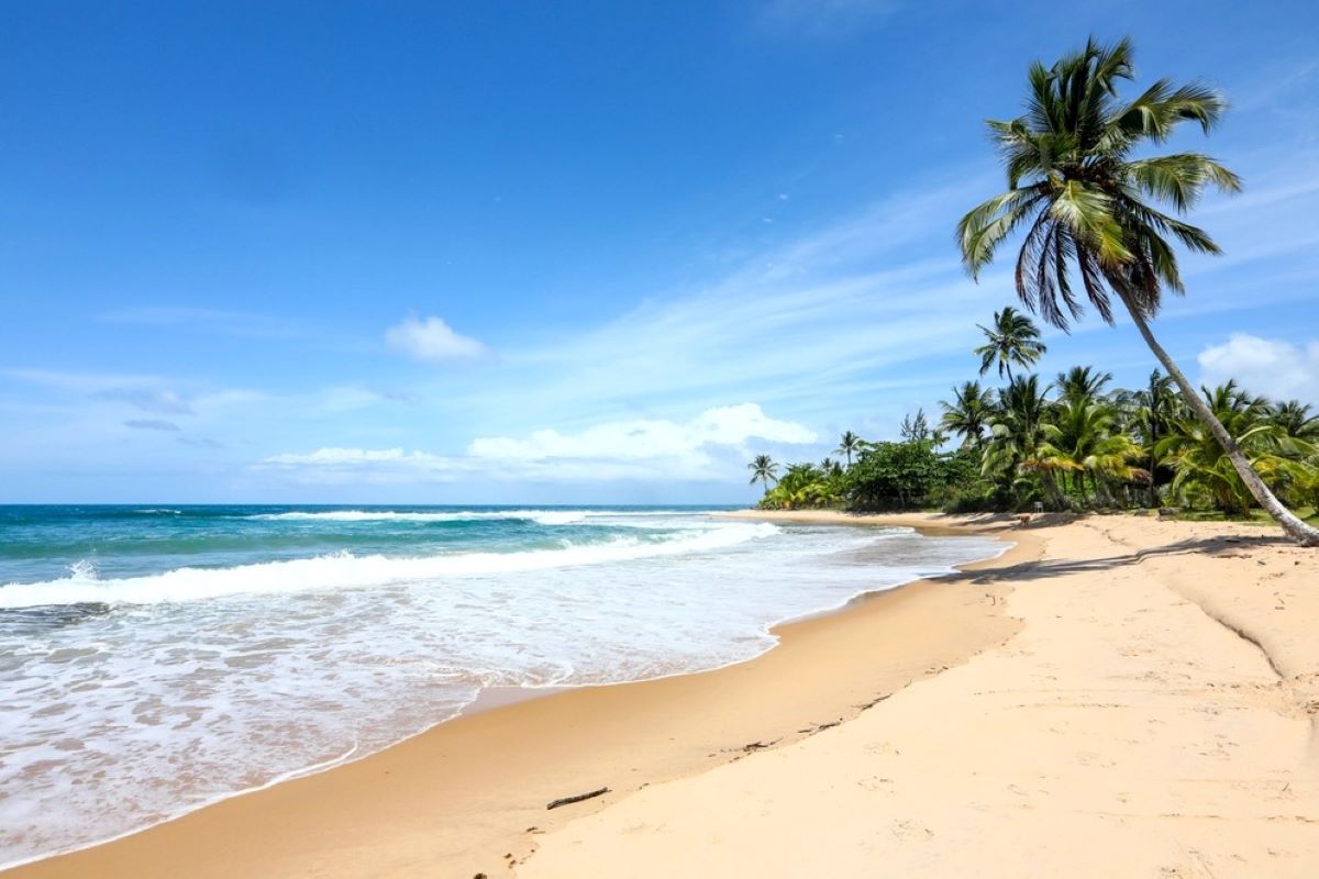 Praia de Três Coqueiros, Península do Maraú - Metrópoles