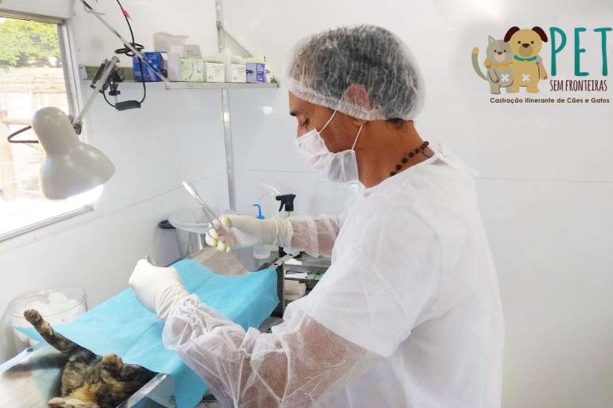 BH abre cadastro para 671 castrações gratuitas de cães e gatos
