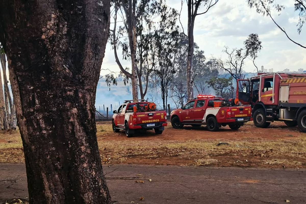Bombeiros combatem 40 incêndios em vegetação pelo DF nesta terça-feira - QTU Questões do Universo