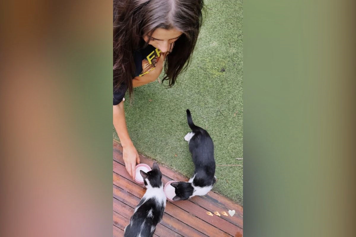 Jade Picon é surpreendida por filhotes de gato na porta de sua mansão