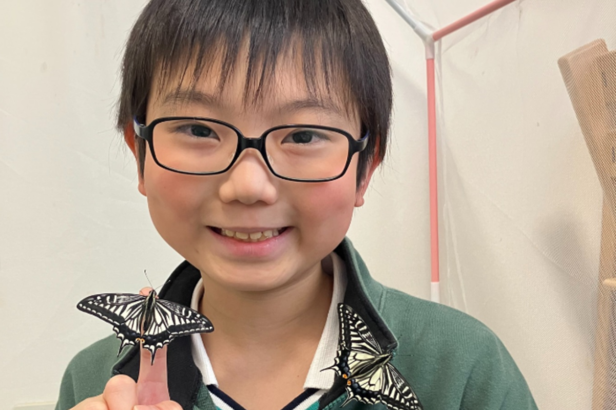 "O mundo está de olho em um entomologista de 11 anos"