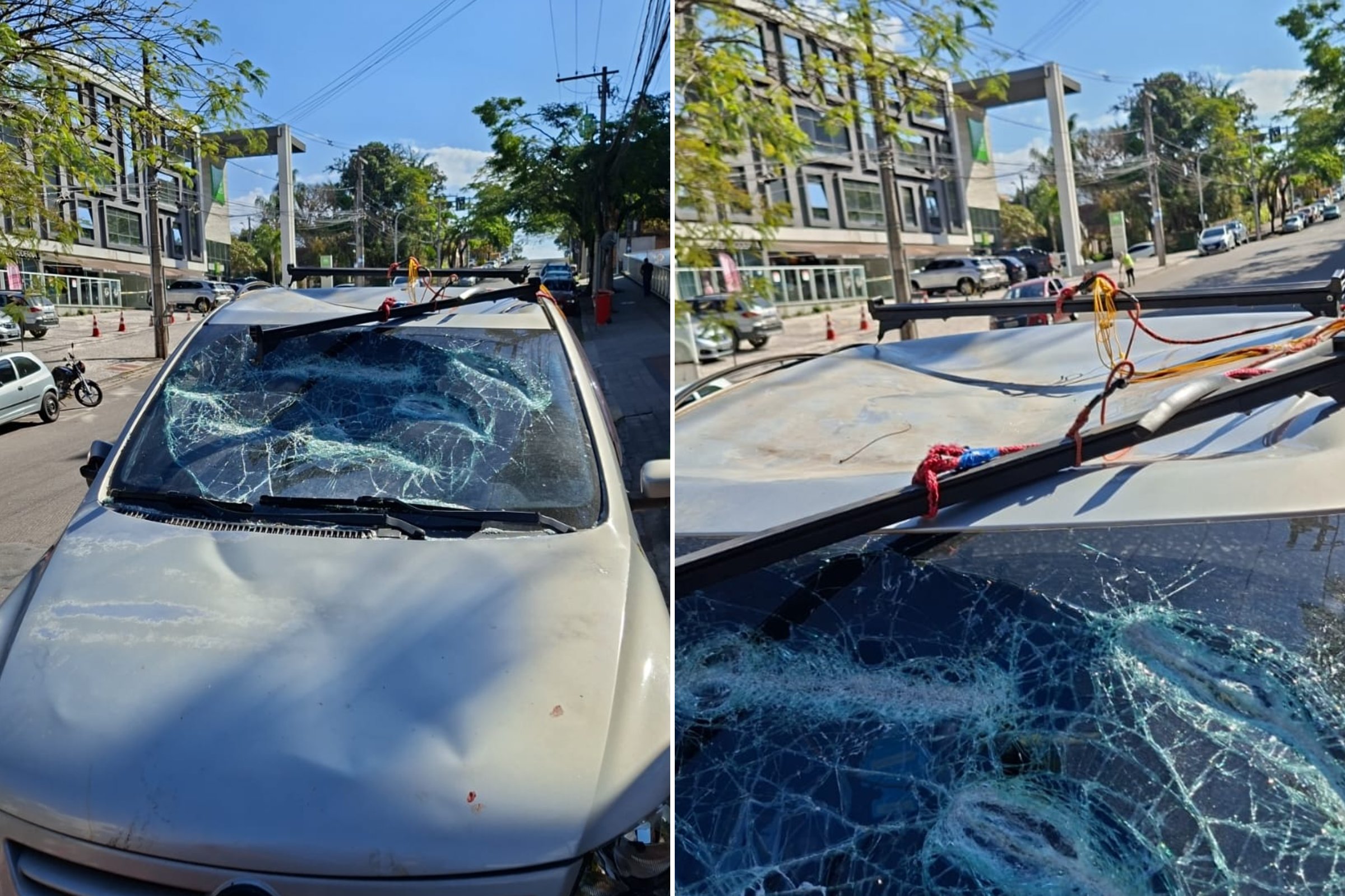 carro danificado pelo dono