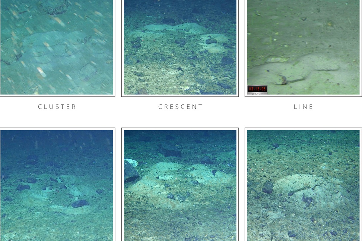 Cientistas encontram "cidade de peixes" escondida no mar da Antártida