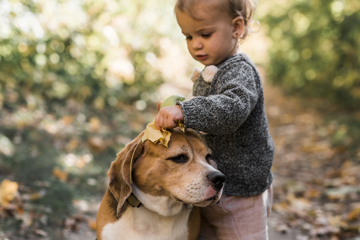 Foto colorida de criança com animal de estimação - Metrópoles