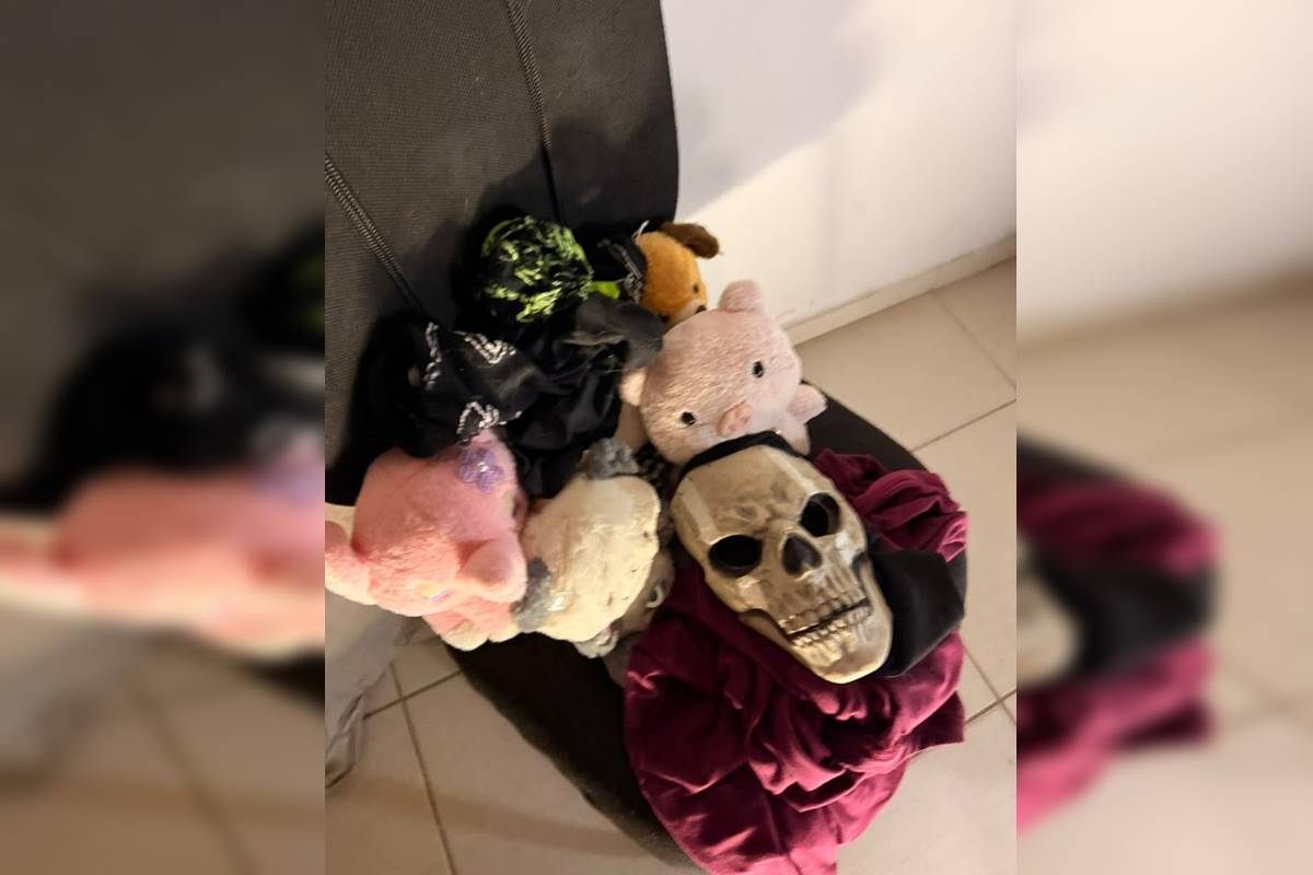 Predador virtual fingia ser garota para violentar e extorquir menina