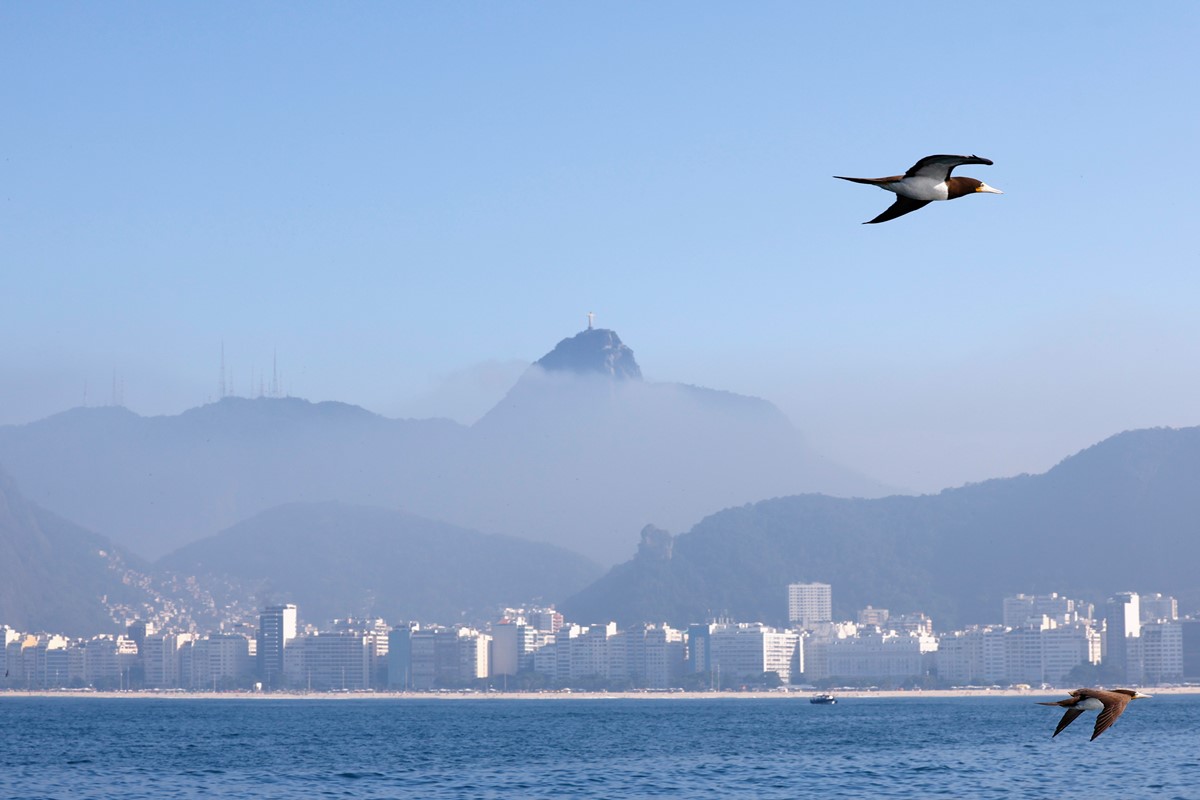 Mudanças Climáticas no Brasil: Frentes Frias e Calor Extremo em 19 de Agosto