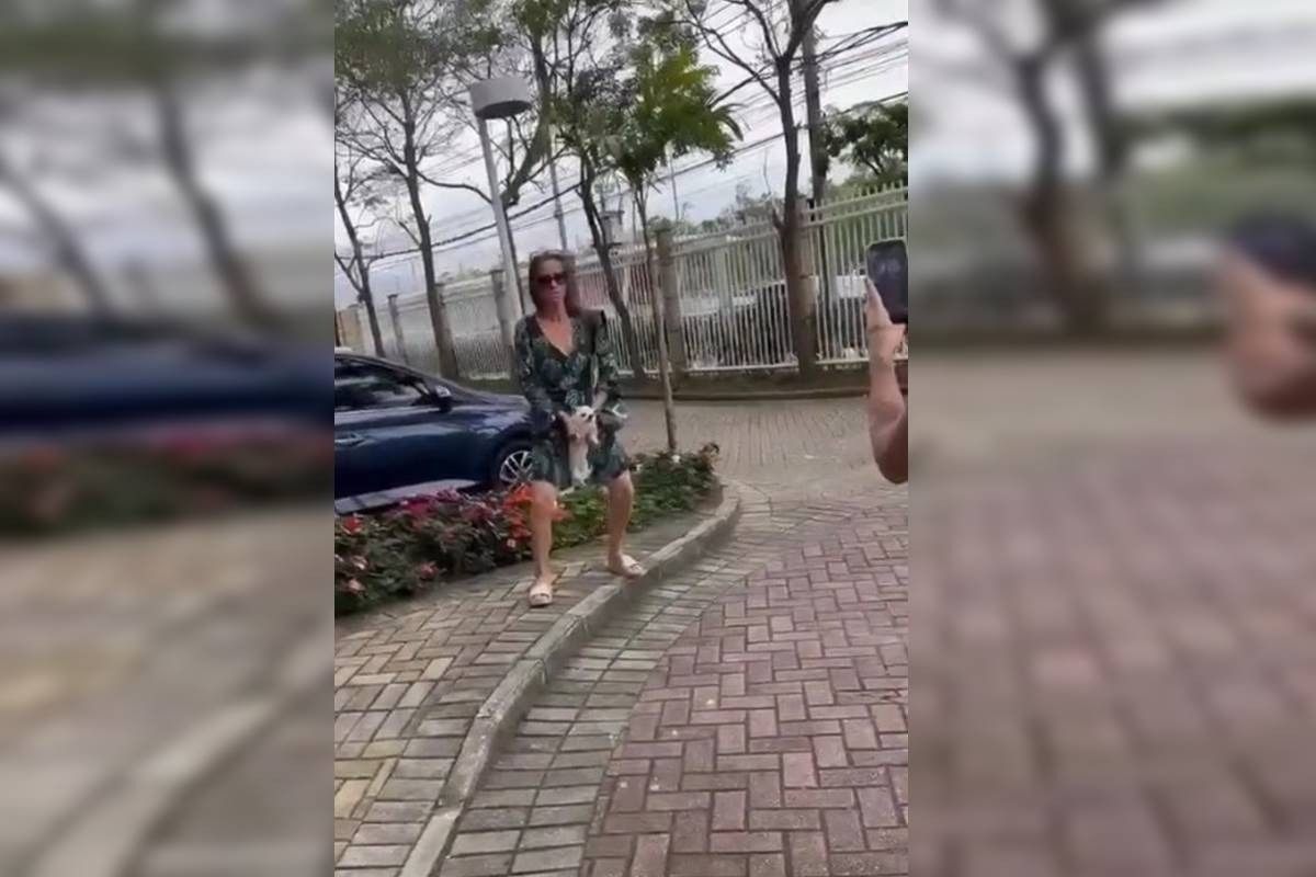 Mulher é presa após sacudir e ferir cachorrinho para provocar vizinhos