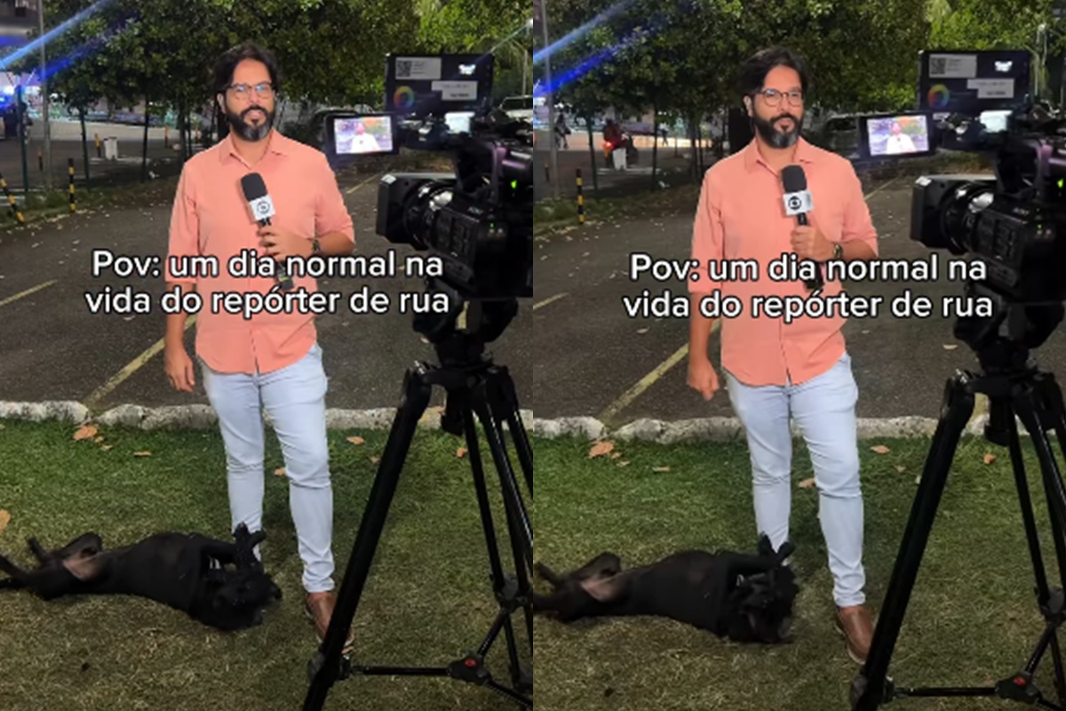 Repórter é surpreendido por cachorro durante entrada ao vivo. Veja - QTU Questões do Universo