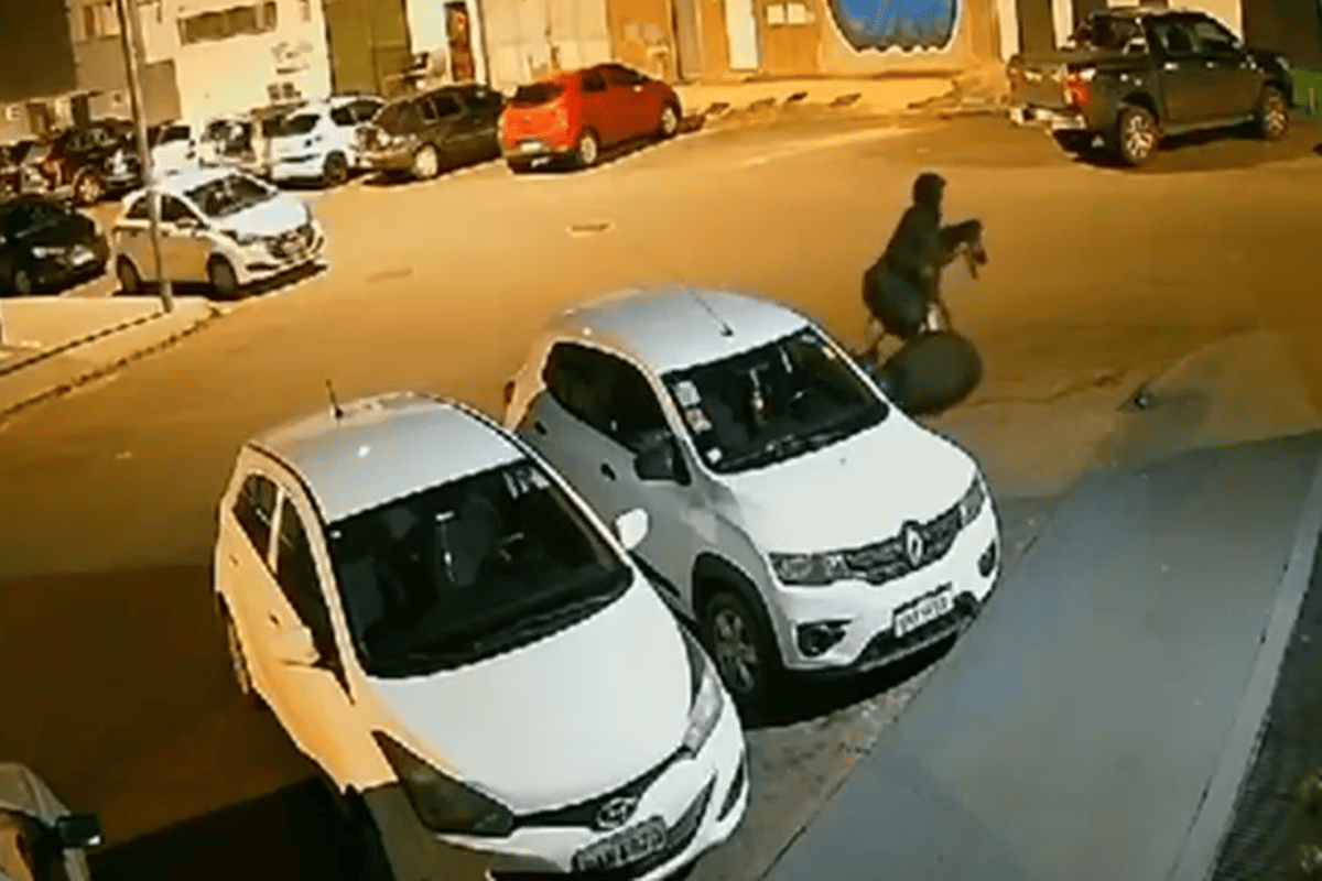Ladrão furta o mesmo carro duas vezes na mesma noite na Asa Norte