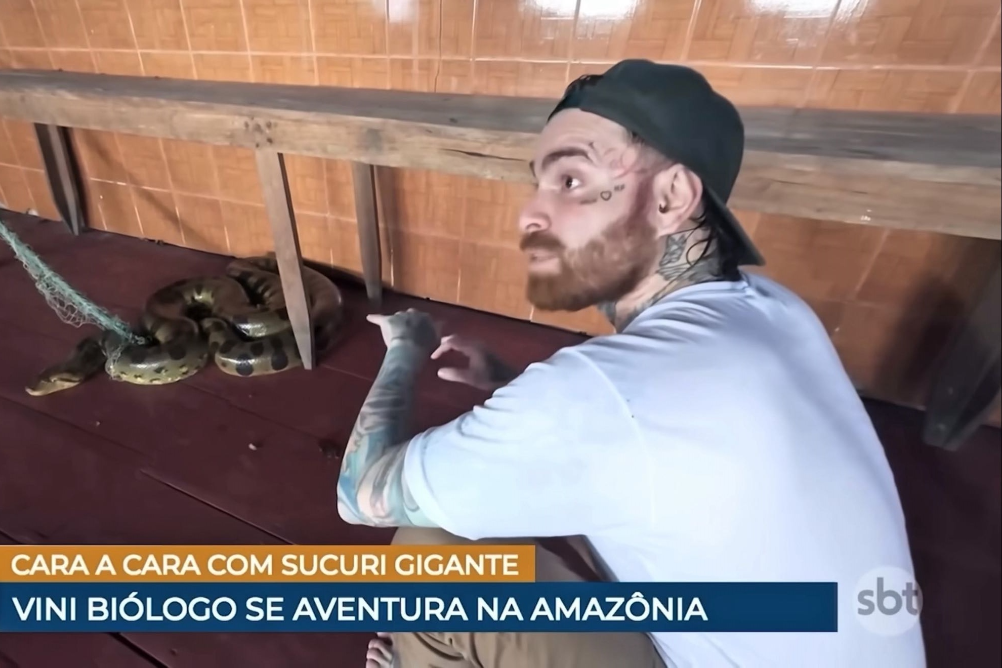 Vini Biólogo processa SBT por R$ 1,2 milhão após meses sem pagamento