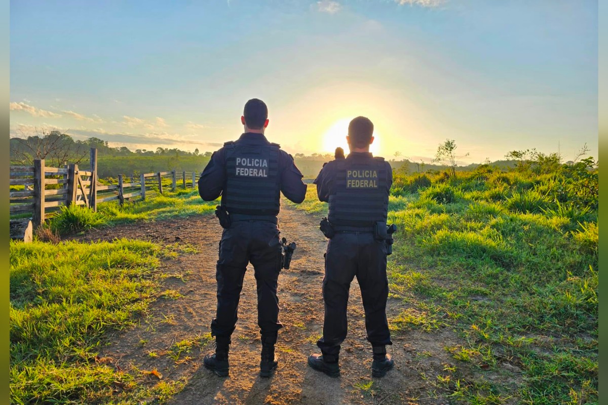 Polícia Federal Investiga Desmatamento de R$ 469 Milhões na Amazônia