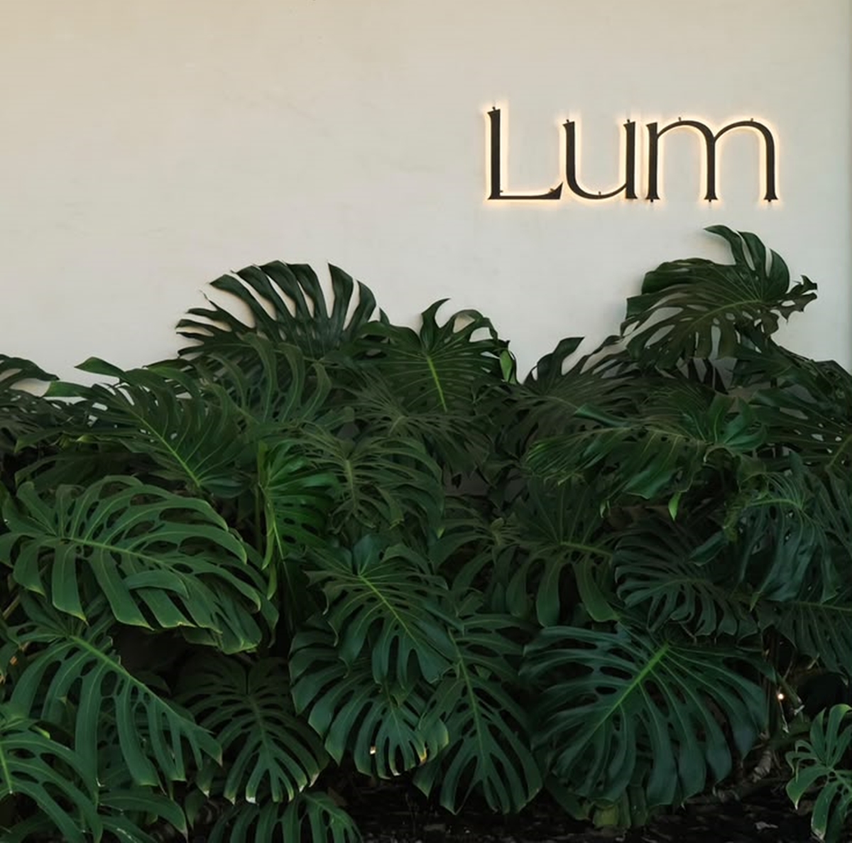 Lum - Metrópoles Catwalk