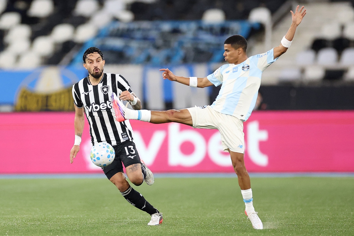 Confira os melhores momentos de Botafogo x Grêmio pelo Brasileirão