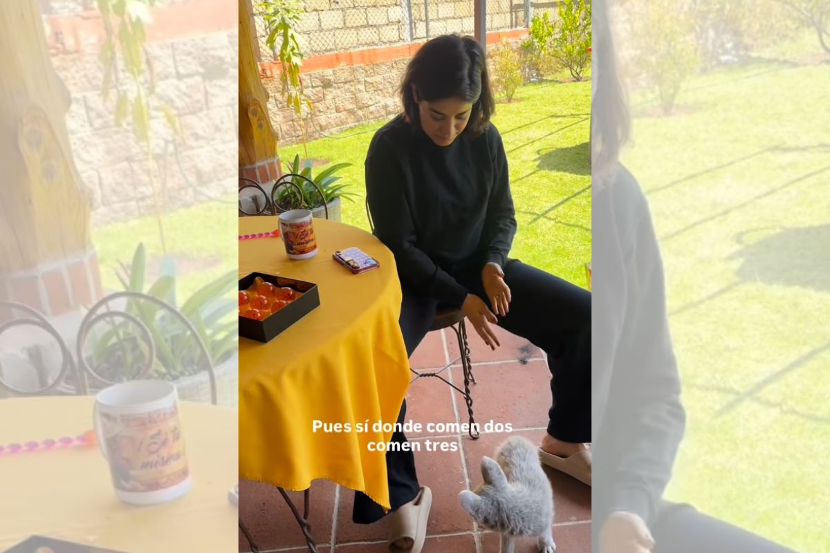 Cachorro albino e surdo