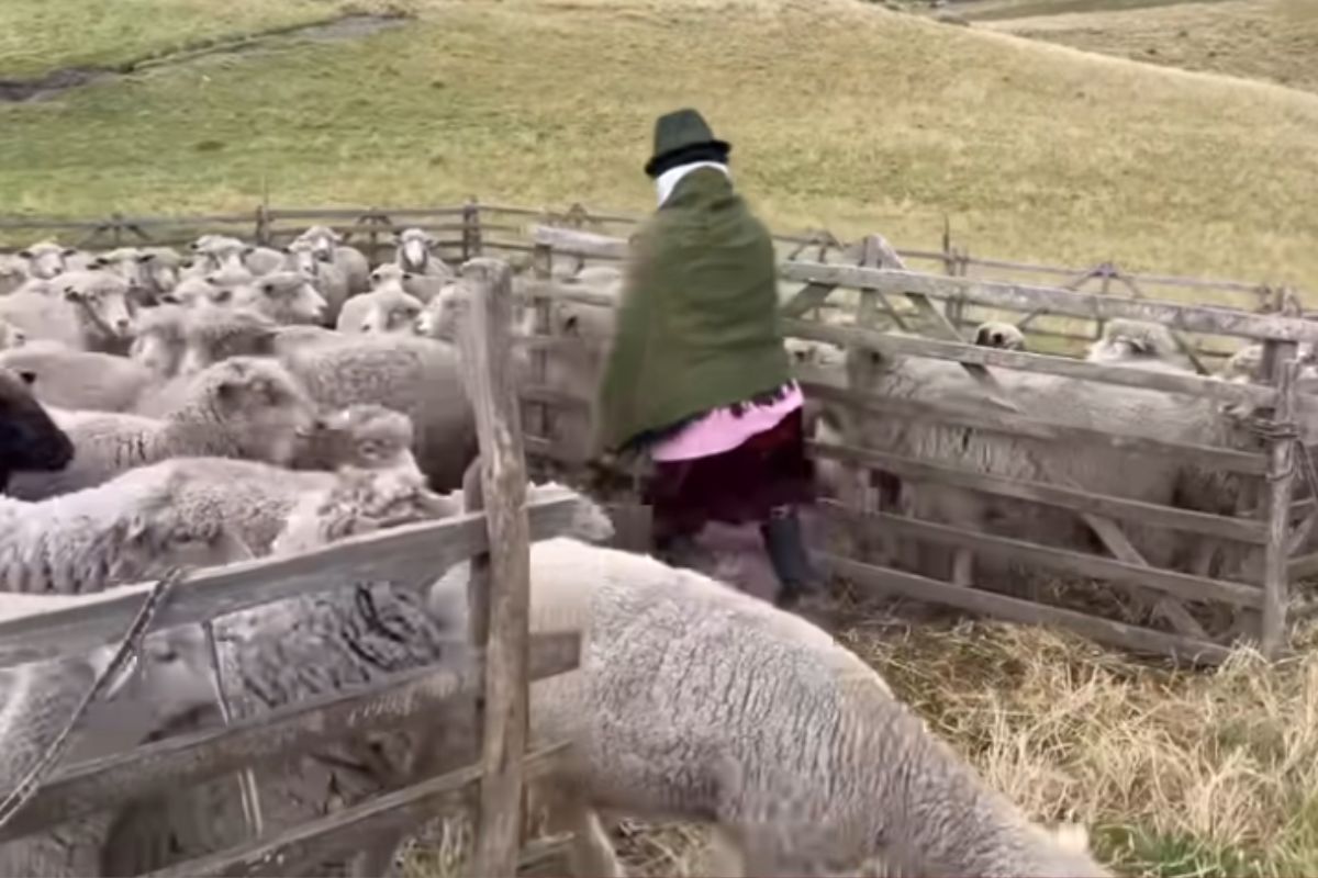 Idoso que mora na montanha