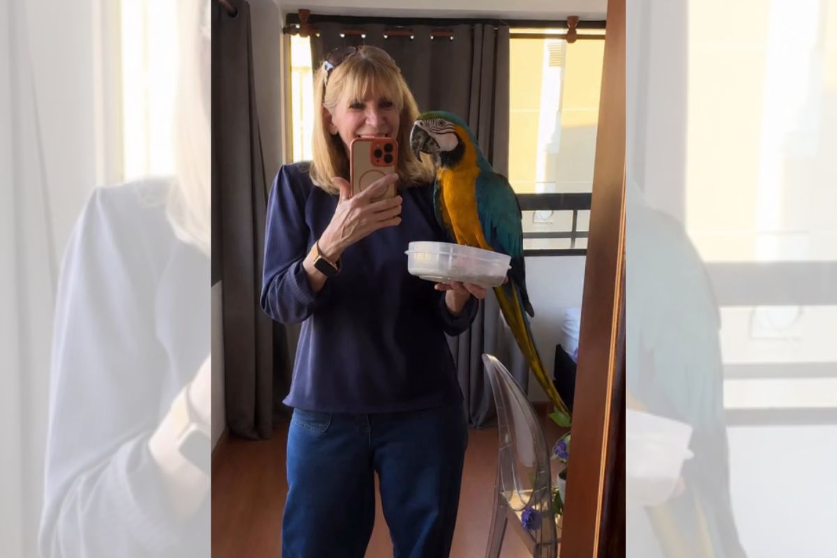 Mulher que recebe araras em varanda
