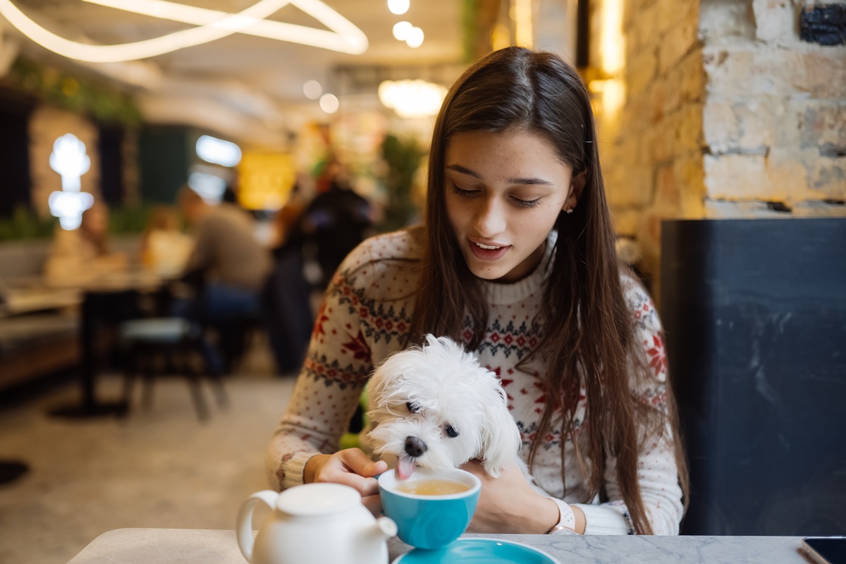 cachorro tomando chá