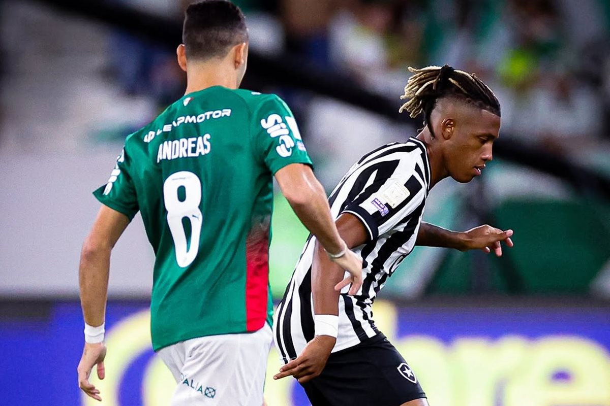 Palmeiras empata sem gols com Botafogo e Flamengo se consolida na liderança