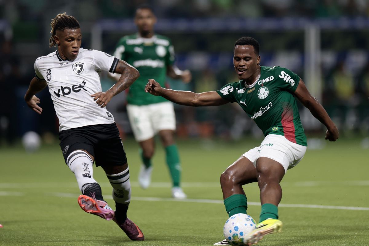 Botafogo x Palmeiras opõe crise e liderança no Brasileirão; veja odds