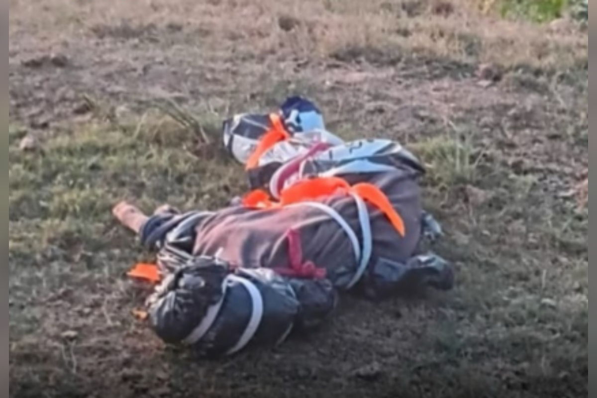 cão encontrado amarrado morto