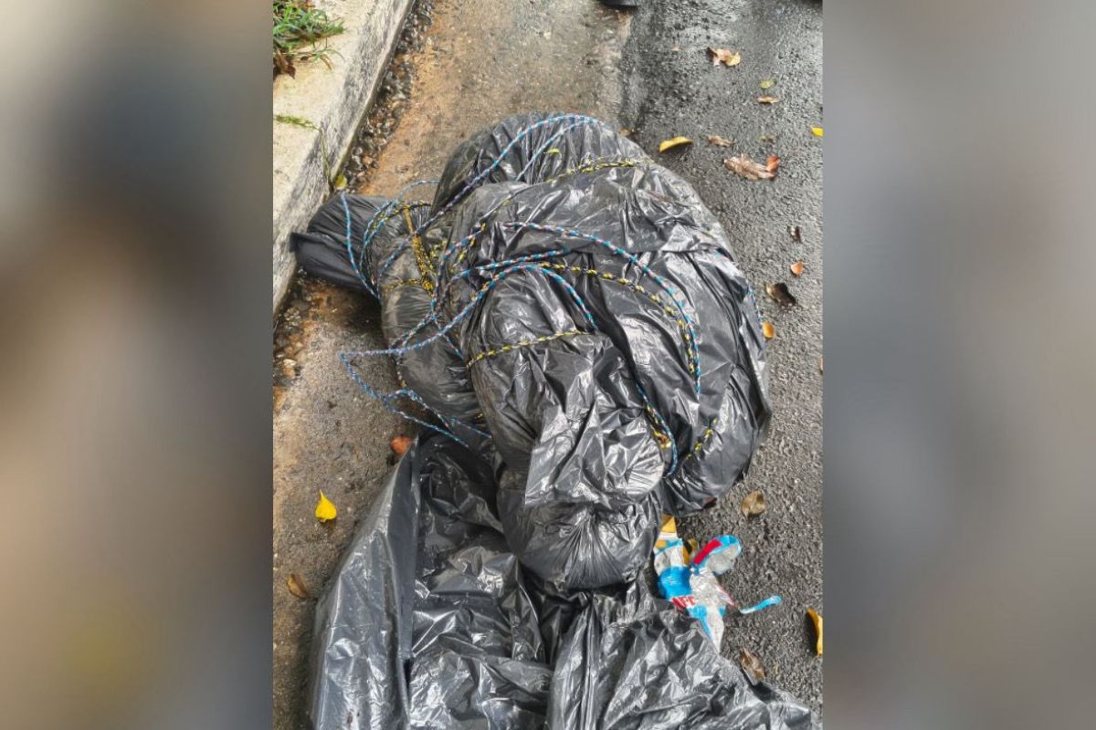 Garis encontram corpo em saco de lixo na zona sul de São Paulo. Veja fotos