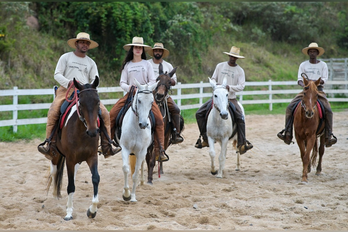 Cavalos para adoção Vale