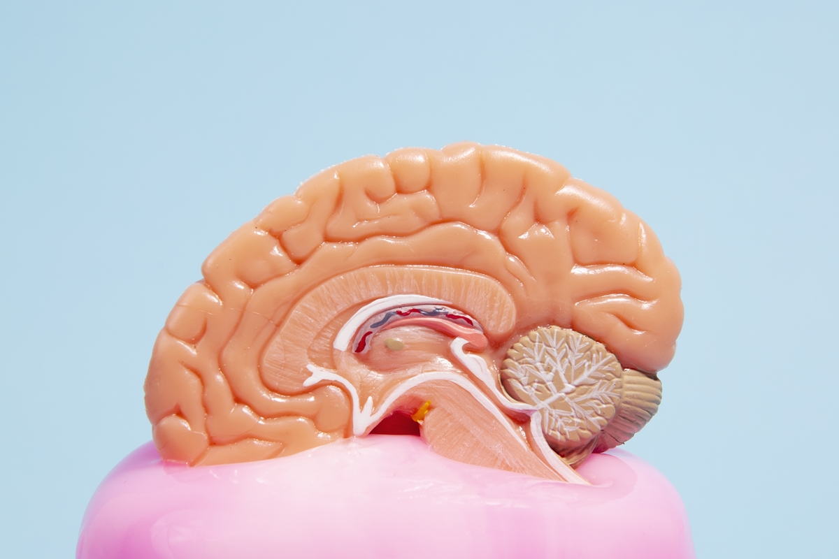 Estimulação cognitiva pode retardar perda de funções no Alzheimer