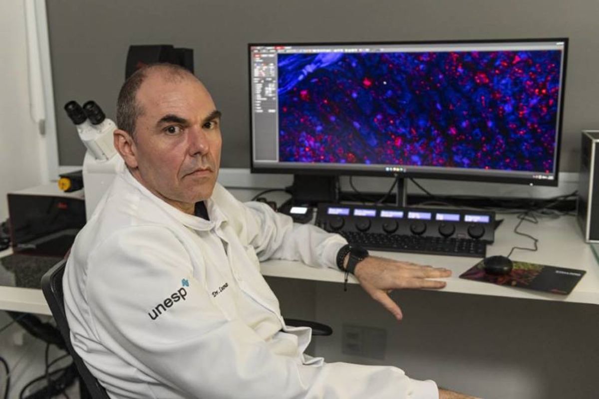 Pela 1ª vez, um brasileiro ganha honraria mundial de sociedade renomada - Foto